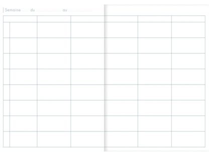 Agendă nedatată A4, Clairefontaine liniatură 1