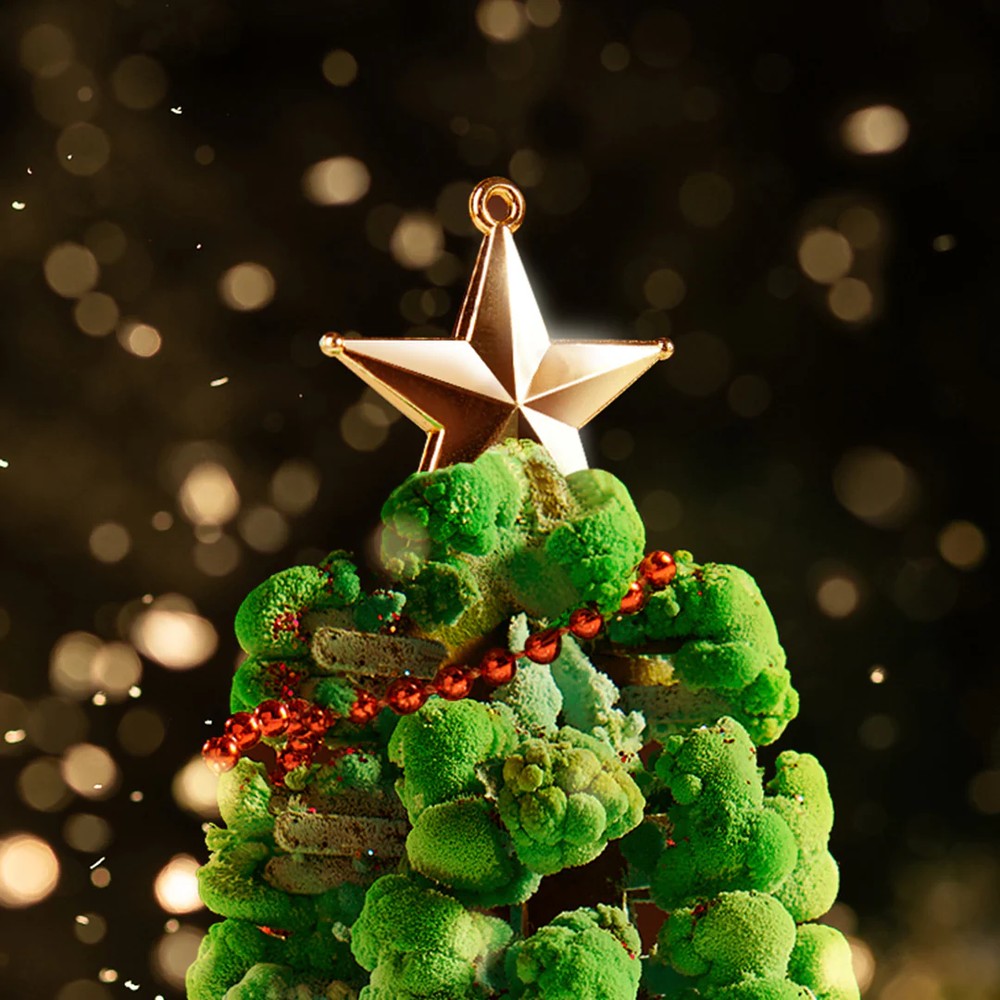 Brad Magic de Crăciun MiDeer Set STEM creativ cu sare pentru copii 6+ 4