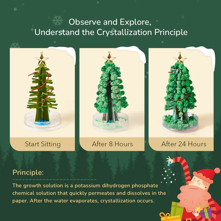 Brad Magic de Crăciun MiDeer Set STEM creativ cu sare pentru copii 6+ 7