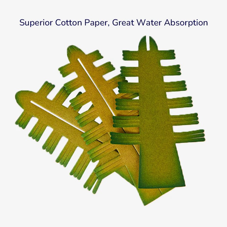 Brad Magic de Crăciun MiDeer Set STEM creativ cu sare pentru copii 6+ 8