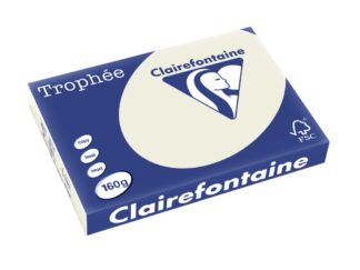 Carton color Clairefontaine Pastel A3 gri