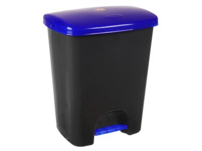 Coș de gunoi reciclare selectivă cu pedală 25 L corp gri capac color albastru