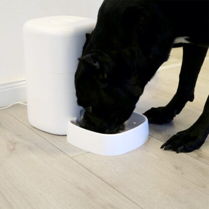 Dispenser hrană animale WiFi Tellur Smart, Cameră UltraHD, 4L, Alb 8