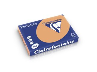 Hârtie color Clairefontaine Pastel A3 caramel