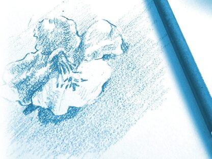 Hârtie desen A3, 10 coli, Clairefontaine exemplu