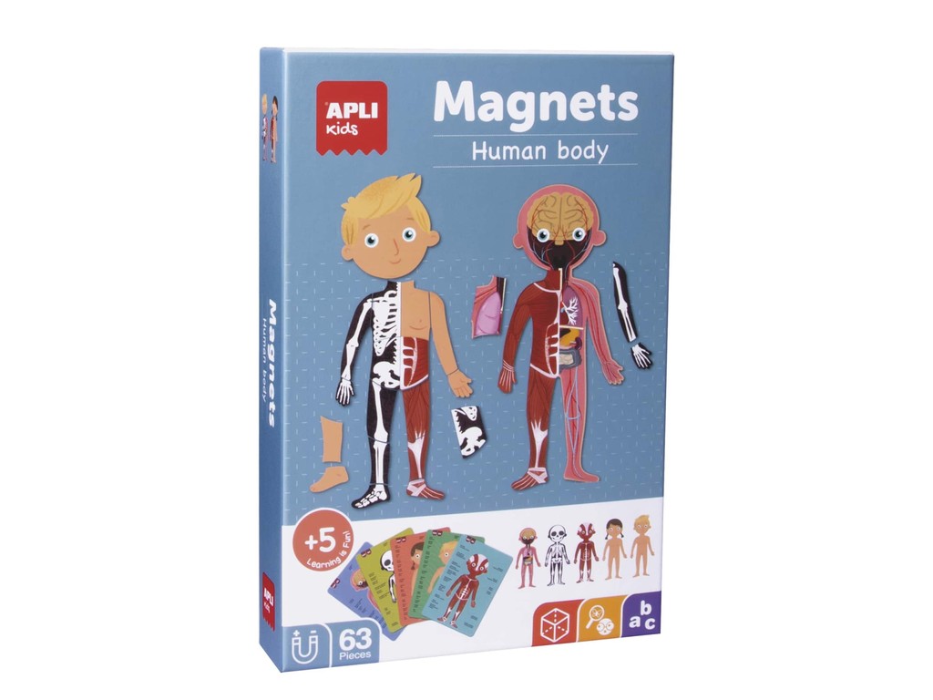 Joc magnetic Corpul Uman 5 modele diferite, 63 piese