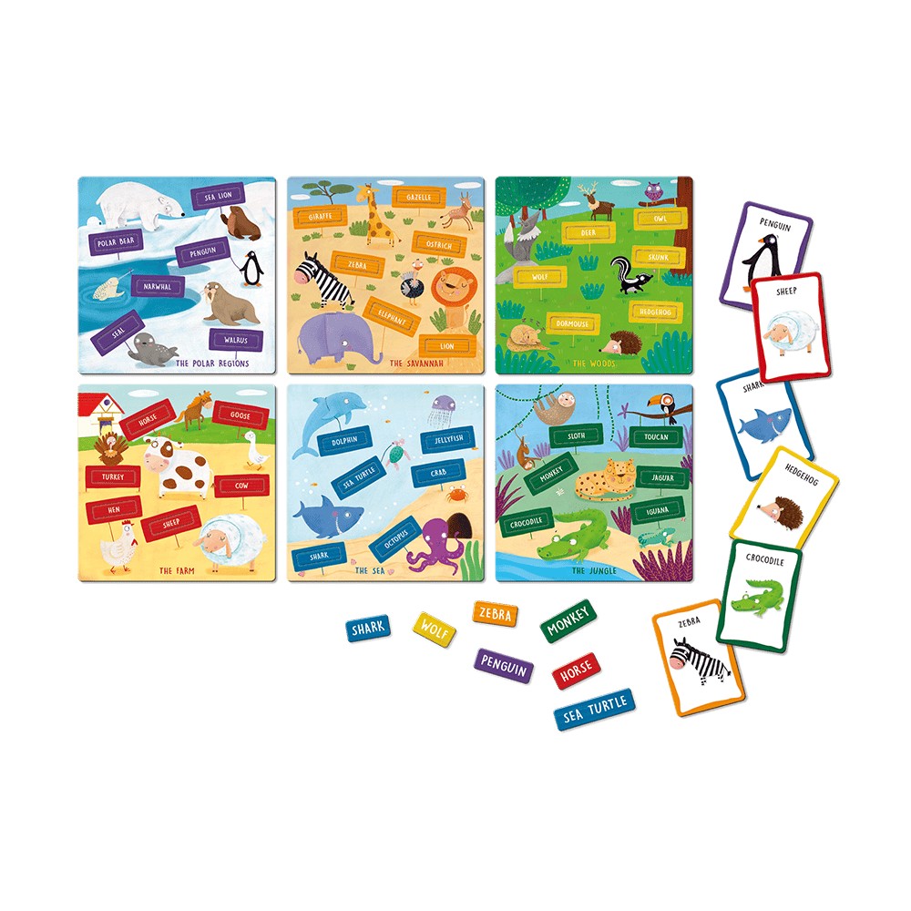 Joc Montessori Să vorbim în engleză, Ludattica, 4-7 ani 2