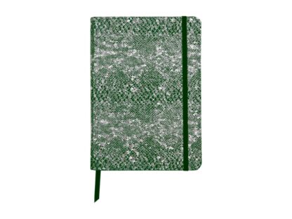 Notebook coperta moale piele, A5, 144 pagini, Clairefontaine Celeste Green laser + Silver