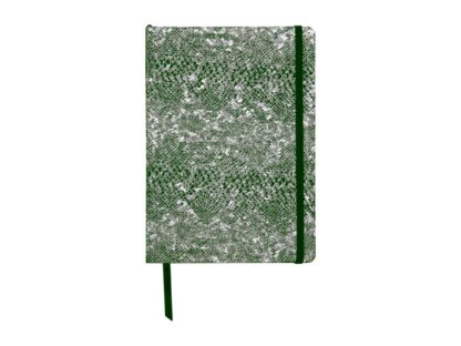 Notebook coperta tare piele, A5, 144 pagini, Clairefontaine Celeste Green laser + Silver