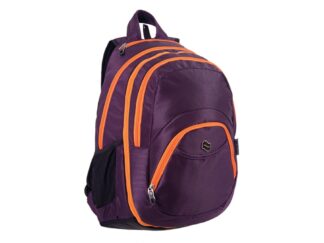 Rucsac 2 în 1 Violet