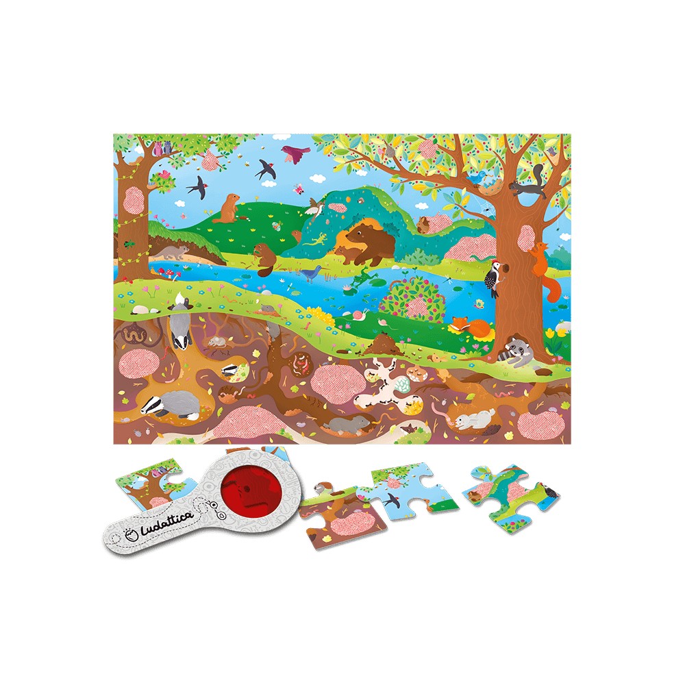 SECRET PUZZLE Mediul Înconjurător, Ludattica, +3 ani 2