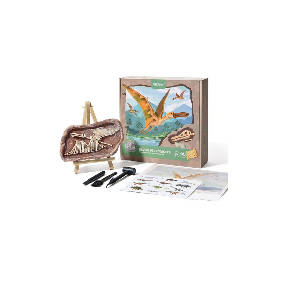 Setul micului arheolog, descoperirea dinozaurului pterodactyl 2