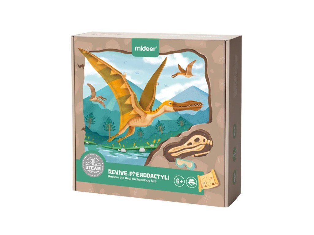 Setul micului arheolog, descoperirea dinozaurului pterodactyl