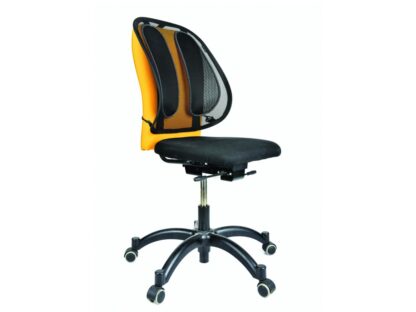 Suport ergonomic pentru spate mesh Fellowes 4