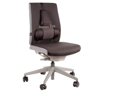Suport ergonomic pentru spate Pro Series Ultimate Fellowes 2