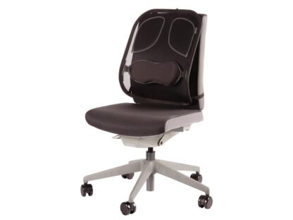 Suport ergonomic pentru spate Professional mesh Fellowes 2