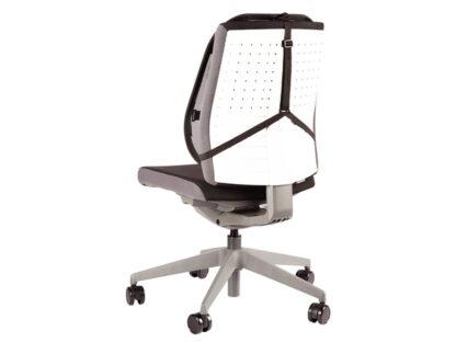 Suport ergonomic pentru spate Professional mesh Fellowes 3