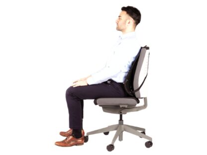 Suport ergonomic pentru spate Professional mesh Fellowes 4