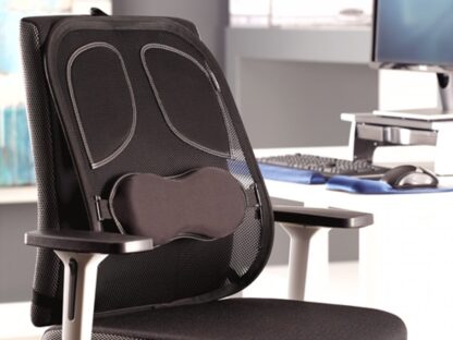 Suport ergonomic pentru spate Professional mesh Fellowes 5